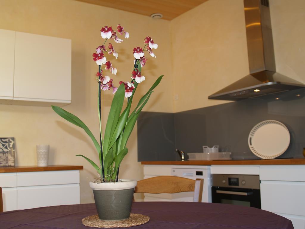 La Vayssade - Maison D'Hotes - Jacuzzi, Piscine & Truffes Lalbenque Exterior photo