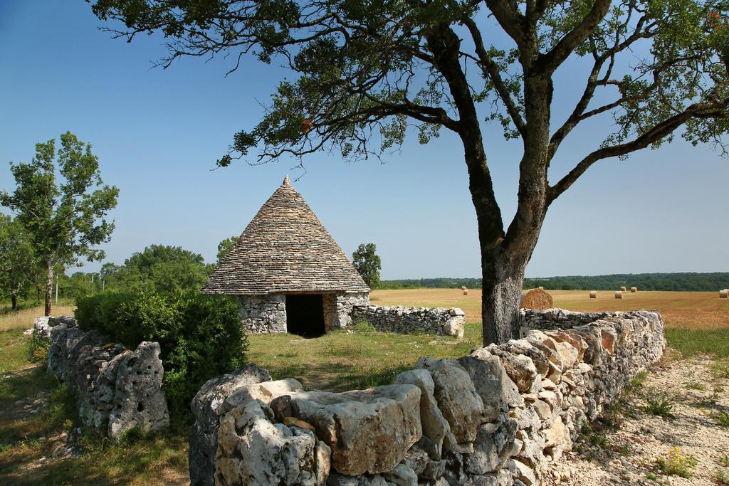 La Vayssade - Maison D'Hotes - Jacuzzi, Piscine & Truffes Lalbenque Exterior photo